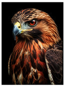 Cuadro Decorativo Animales, Águila Real a Detalle