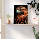 Cuadro Decorativo Animales, Águila Real a Detalle