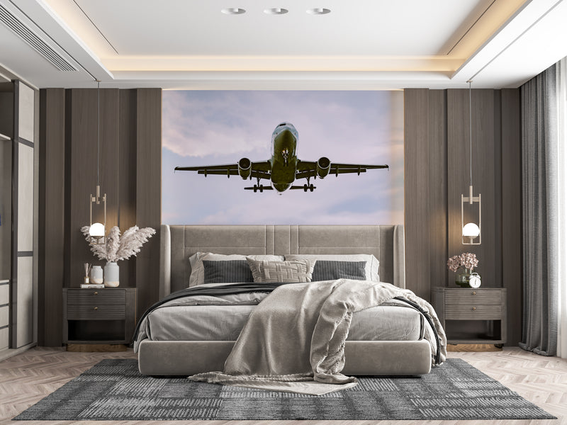 Decorativo Airplane Front 8