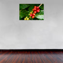 Cuadro Decorativo Cafetales, Frutos de Café