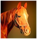 Cuadro Decorativo Abstracto, Caballo cálido