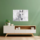 Cuadro Decorativo Abstracto, Caballo Difuso