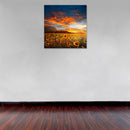 Cuadro Decorativo Verano, Campos de girasoles