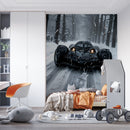 Decorativo Car Front 5