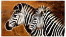 Cuadro Decorativo Abstracto, Cebras