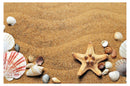 Cuadro Decorativo Verano, Conchas y caracolas