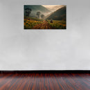 Cuadro Decorativo Cafetales, Cultivando Café