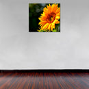 Cuadro Decorativo Verano, Girasol a detalle