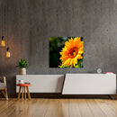 Cuadro Decorativo Verano, Girasol a detalle