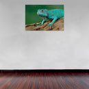 Cuadro Decorativo Animales, Iguana Aqua