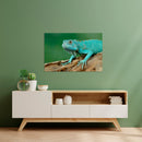 Cuadro Decorativo Animales, Iguana Aqua