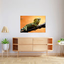 Cuadro Decorativo Animales, Iguana a detalle