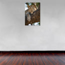 Cuadro Decorativo Animales, Leopardo a detalle