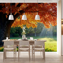 Cuadro Decorativo Árbol del jardín