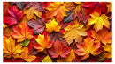 Cuadro Decorativo Colorido de hojas