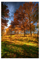 Cuadro Decorativo Valle otoñal