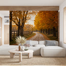 Cuadro Decorativo Paisaje sendero atardecer