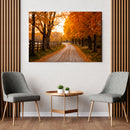 Cuadro Decorativo Paisaje sendero atardecer