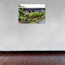 Cuadro Decorativo Cafetales, Paisaje Cafetero 02