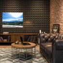 Cuadro Decorativo Cafetales, Paisaje Cafetero 01