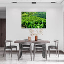 Cuadro Decorativo Cafetales, Plantíos de Café