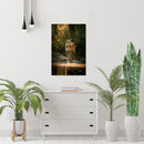 Cuadro Decorativo Animales, Puma en el río