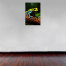 Cuadro Decorativo Animales, Rana amarilla