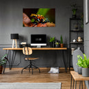 Cuadro Decorativo Animales, Rana venenosa