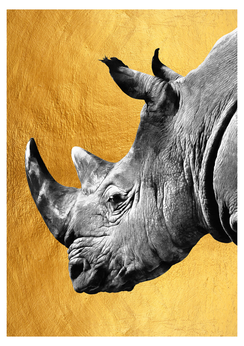 Cuadro Decorativo Especial Golden, Rinoceronte