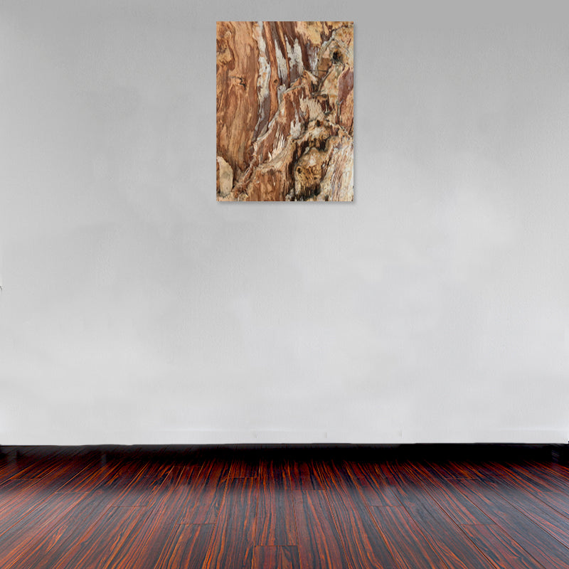 Cuadro Decorativo Abstracto, Textura de tronco