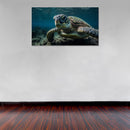Cuadro Decorativo Animales, Tortuga marina a detalle