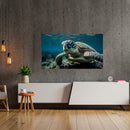 Cuadro Decorativo Animales, Tortuga marina a detalle