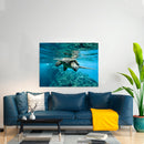 Cuadro Decorativo Animales, Tortuga marina