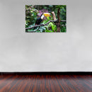 Cuadro Decorativo Animales, Tucán