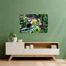 Cuadro Decorativo Animales, Tucán