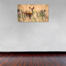 Cuadro Decorativo Verano, Venado en la pradera