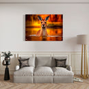 Cuadro Decorativo Animales, Venado en el agua