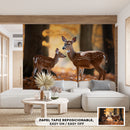 Cuadro Decorativo Animales, Venados cola blanca