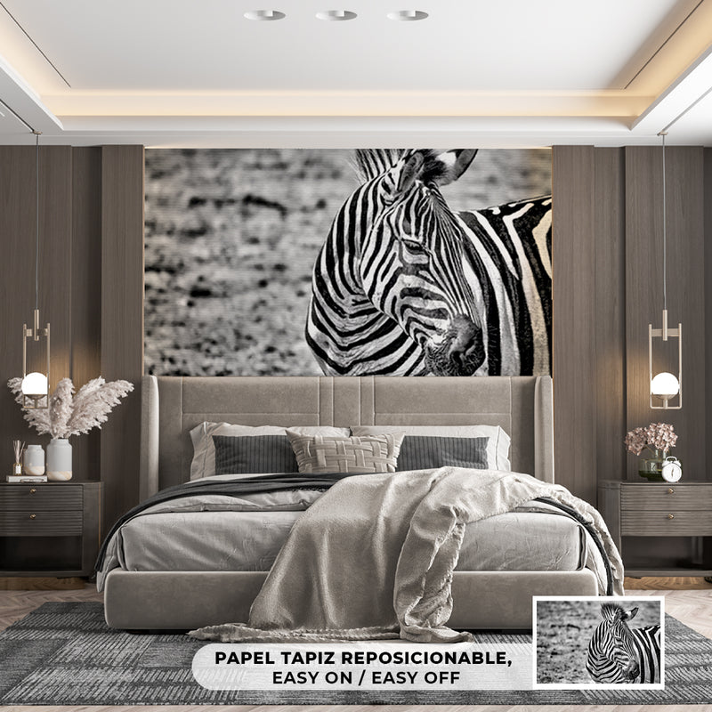 Cuadro Decorativo Animales, Zebra blanco y negro