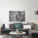Cuadro Decorativo Animales, Zebra blanco y negro