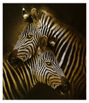 Cuadro Decorativo Especial Golden, Zebras doradas