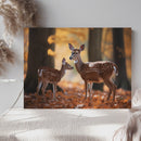 Cuadro Decorativo Animales, Venados cola blanca