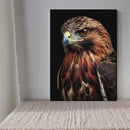 Cuadro Decorativo Animales, Águila Real a Detalle