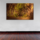 Cuadro Decorativo Paisaje, Camino de árboles