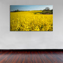Cuadro Decorativo Paisaje, Campos amarillos