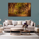 Cuadro Decorativo Paisaje, Camino de árboles