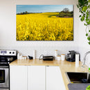 Cuadro Decorativo Paisaje, Campos amarillos