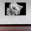 Cuadro Decorativo Rose