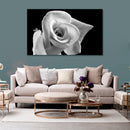 Cuadro Decorativo Rose