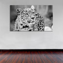 Cuadro Decorativo Jag